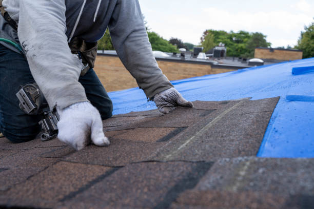 Best Roof Gutter Cleaning  in Commerce, GA